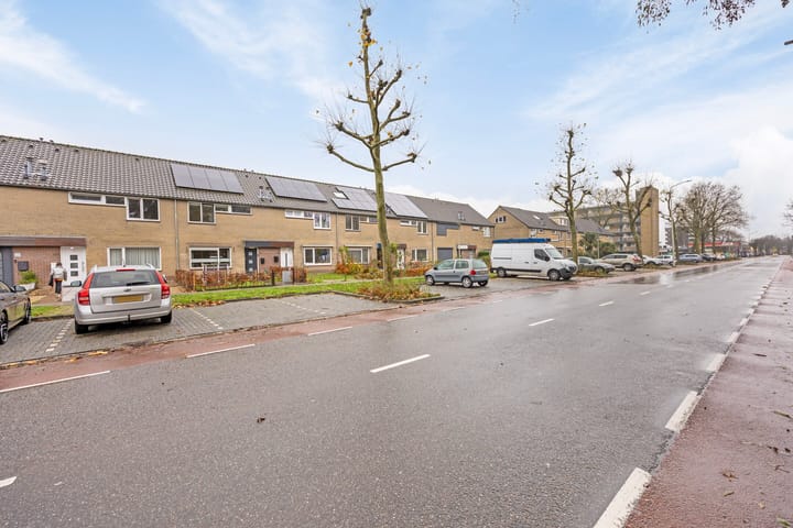 Foto 6 van Lankforst 1117