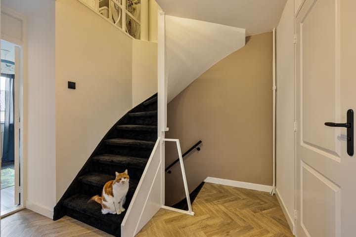 Foto 20 van Lankforst 1117