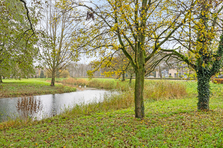 Bekijk foto 43 van Lankforst 1117