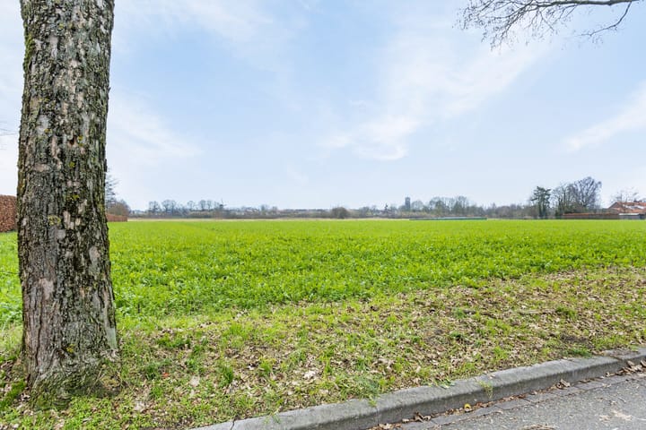 Foto 34 van Groenlingstraat 14