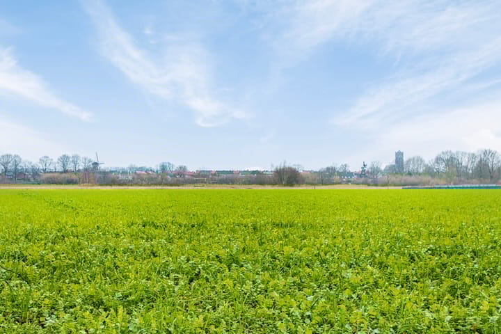 Foto 35 van Groenlingstraat 14