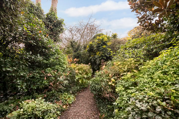 Foto 36 van Assendorperstraat 180