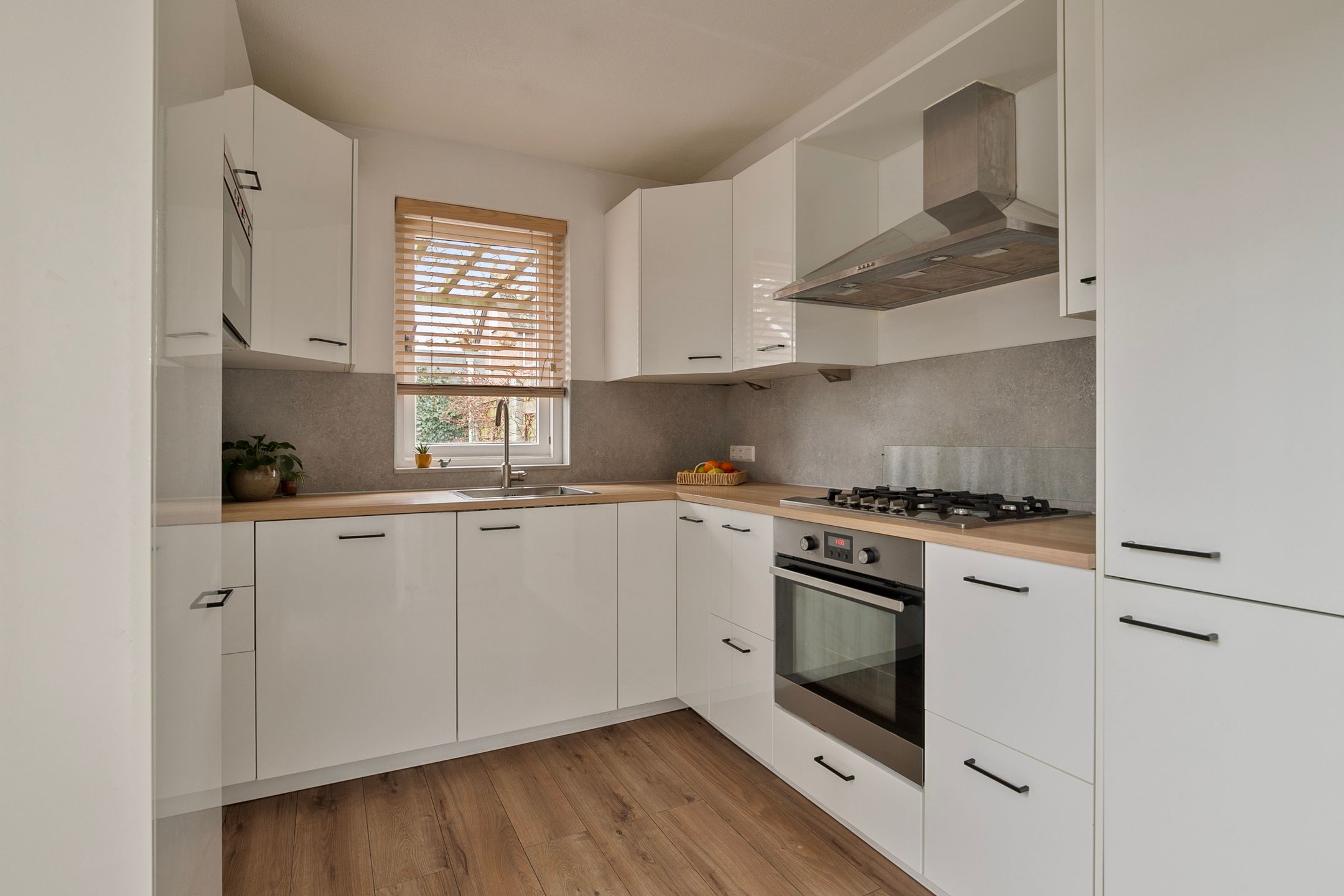 Foto 3 van Bonte Specht 7