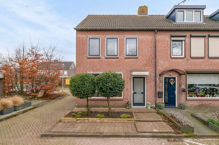 Foto 6 van Bonte Specht 7