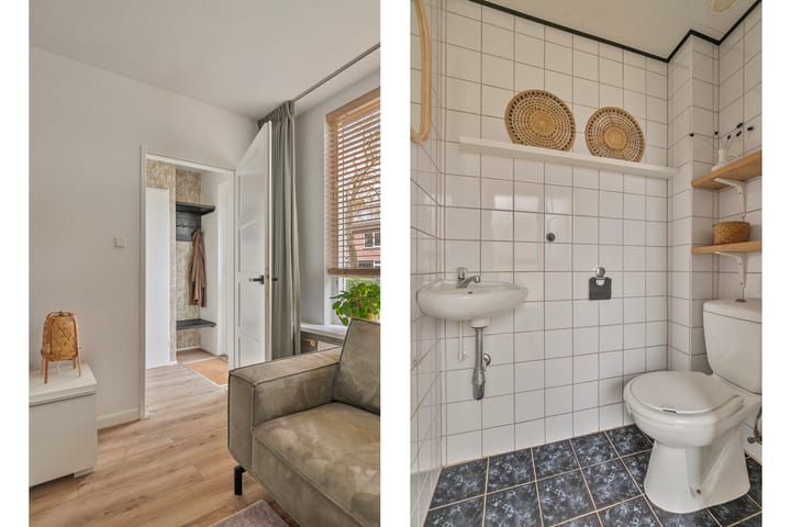 Foto 7 van Bonte Specht 7