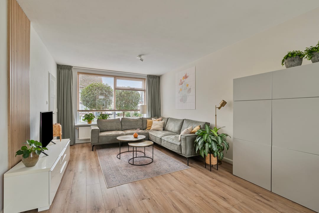 Foto 8 van Bonte Specht 7