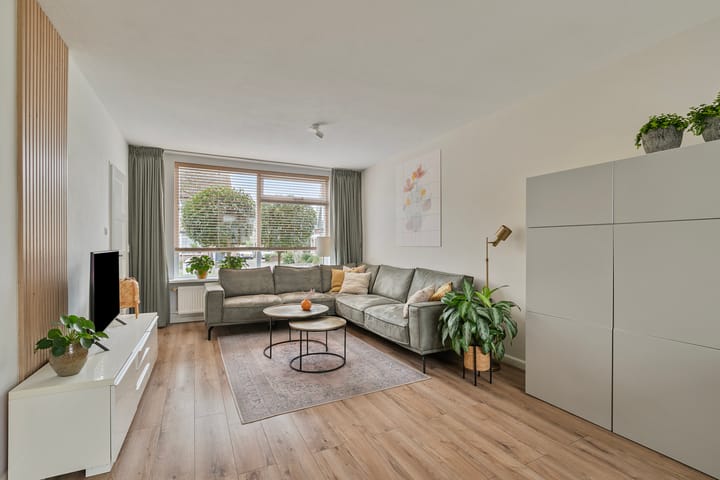 Foto 8 van Bonte Specht 7