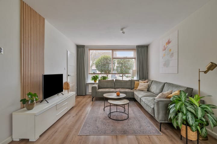 Foto 9 van Bonte Specht 7