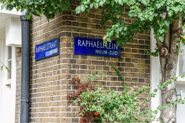 View photo 33 of Raphaëlplein 11