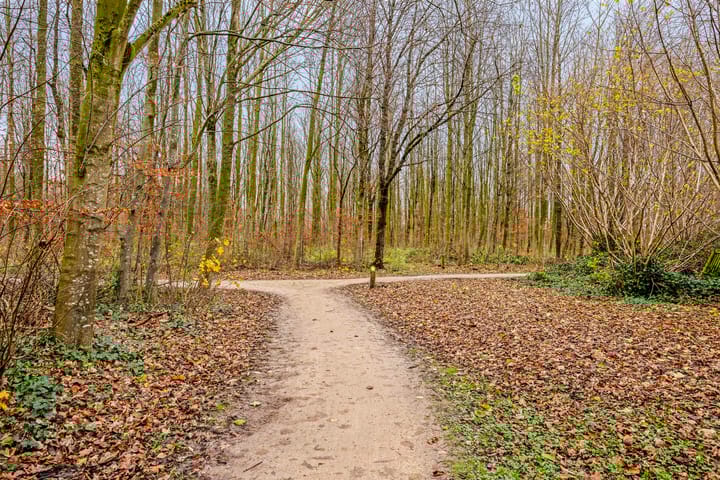 Foto 31 van Manegelaan 41-B