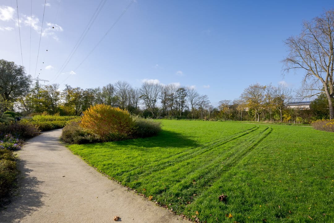 Foto 37 van Het Wedde 86