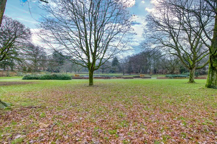 Foto 18 van Asselsestraat 265