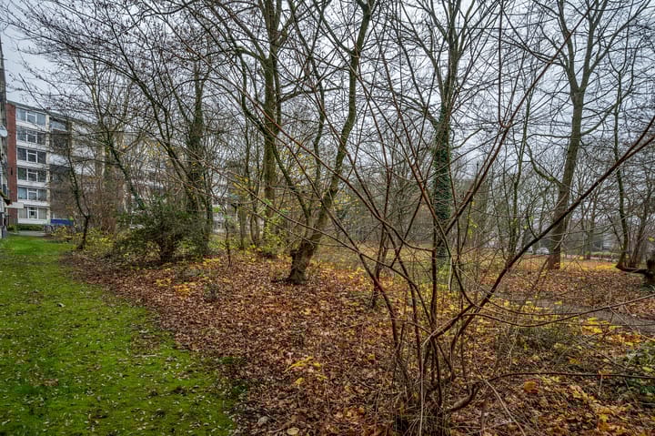 Foto 24 van Rijnbeekstraat 224