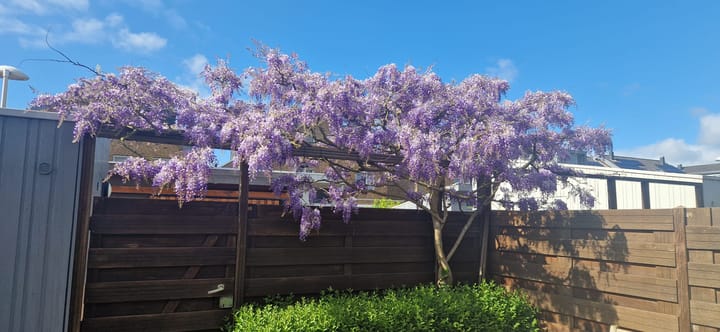 Foto 47 van Eemsplantsoen 30