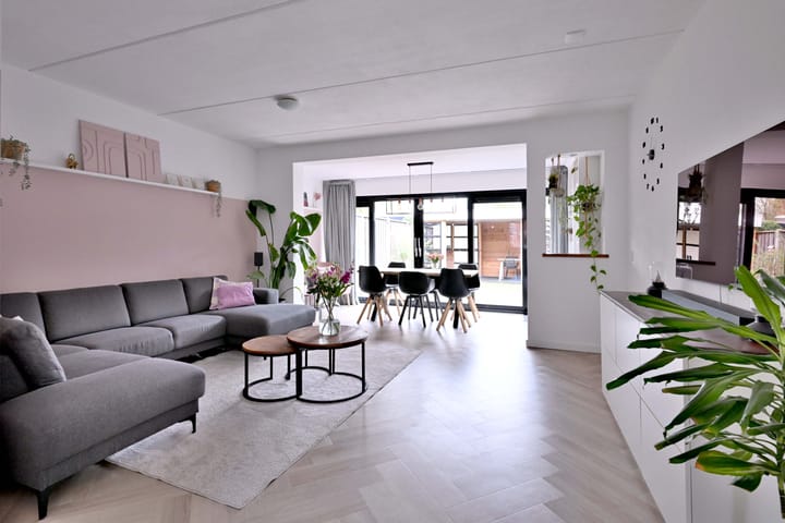 Foto 3 van de Ganzeboom 146