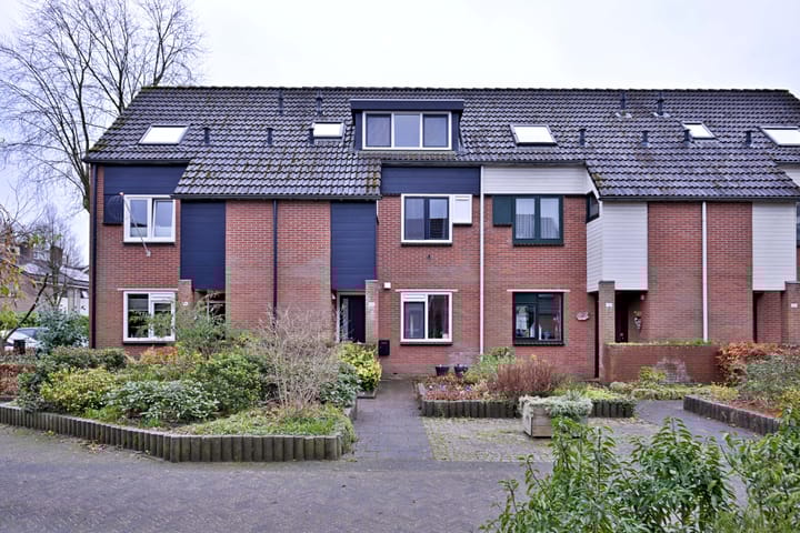 Foto 1 van de Ganzeboom 146