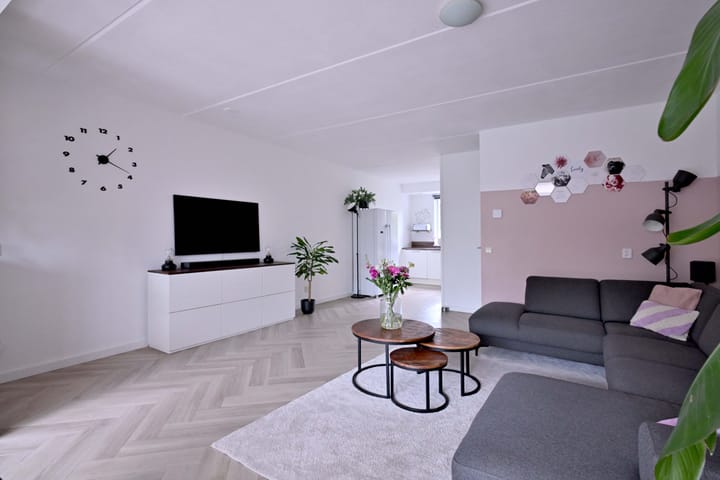 Foto 7 van de Ganzeboom 146