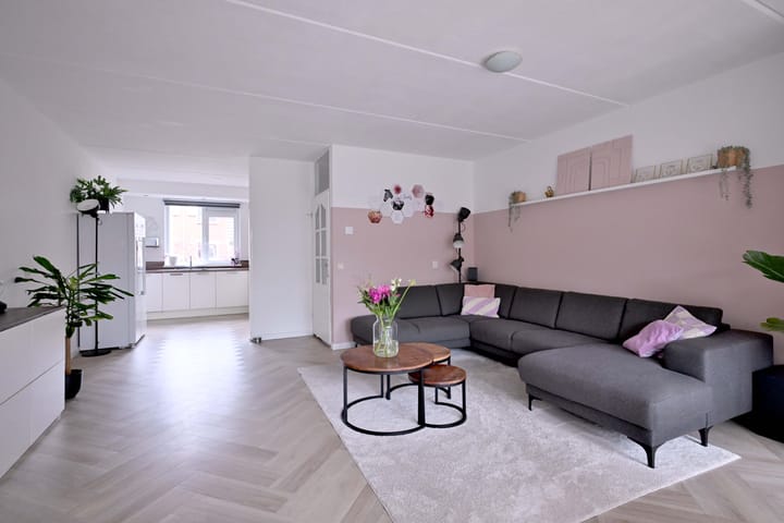 Foto 8 van de Ganzeboom 146