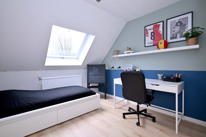 Foto 18 van de Ganzeboom 146