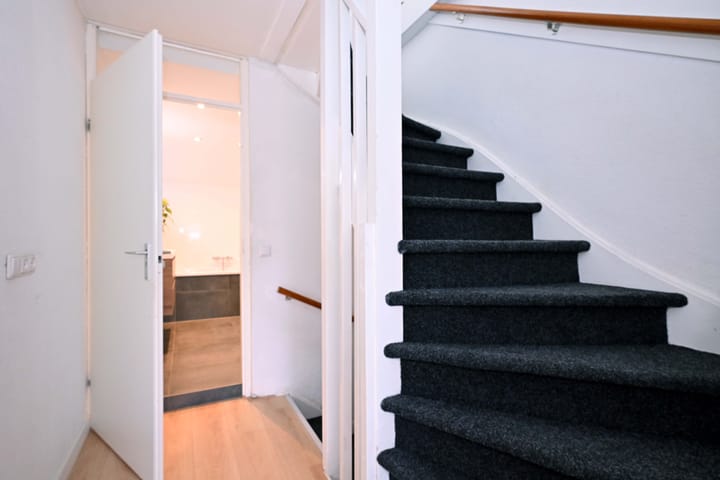 Foto 24 van de Ganzeboom 146