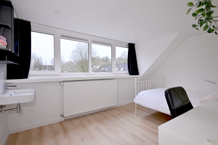 Foto 30 van de Ganzeboom 146