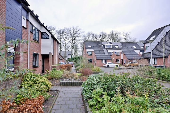 Foto 43 van de Ganzeboom 146