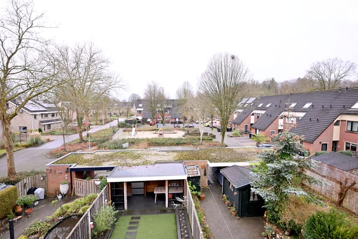 Foto 34 van de Ganzeboom 146