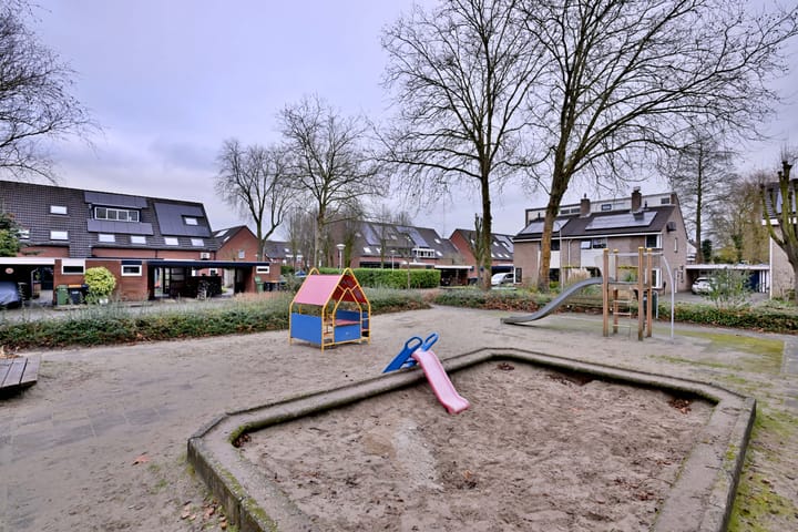 Foto 46 van de Ganzeboom 146