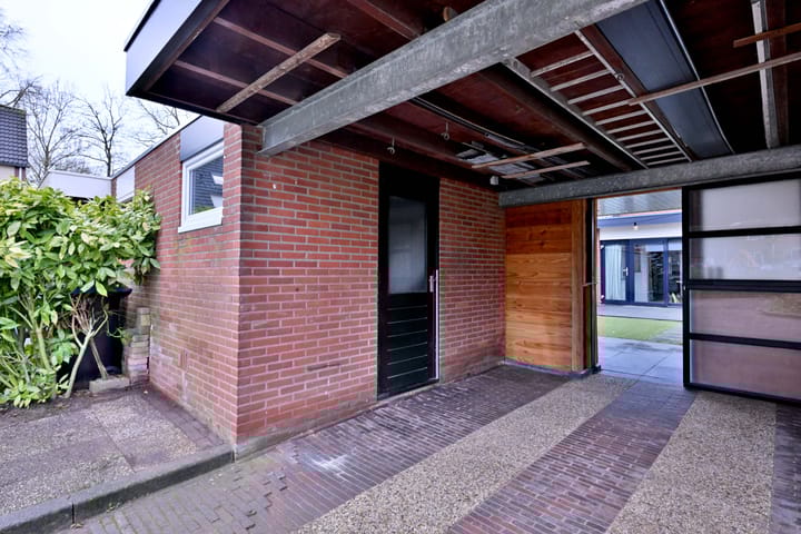 Foto 41 van de Ganzeboom 146