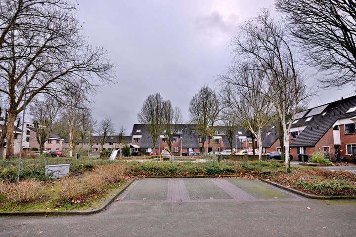 Foto 45 van de Ganzeboom 146