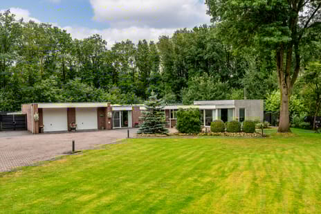 Waardeellaan thumbnail