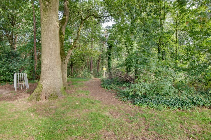 Bekijk foto 44 van Hertog van Brabantweg 5