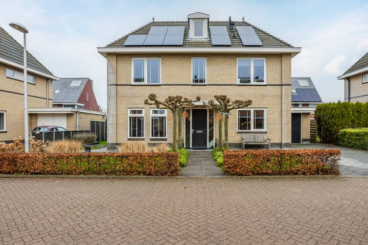 Foto 1 van Meerval 10