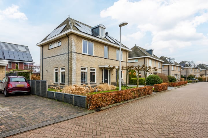 Foto 3 van Meerval 10