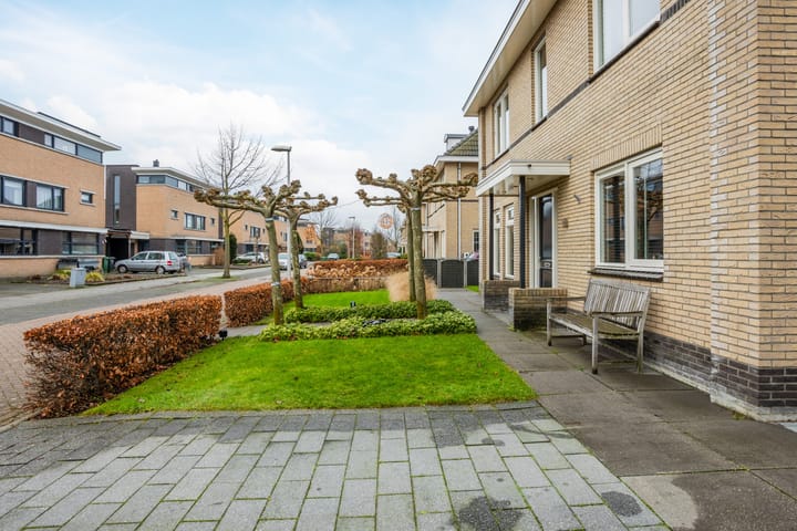 Foto 6 van Meerval 10