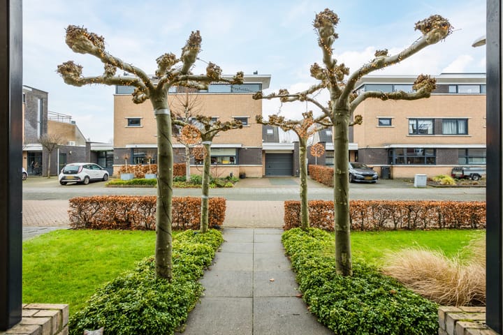 Foto 7 van Meerval 10