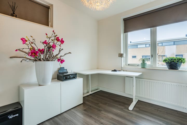 Foto 44 van Meerval 10