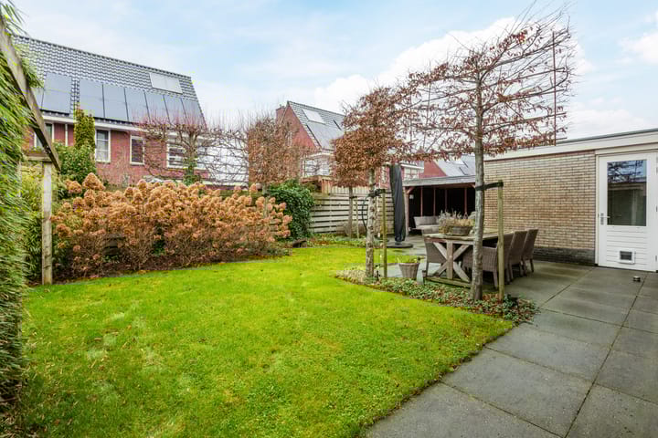 Foto 63 van Meerval 10