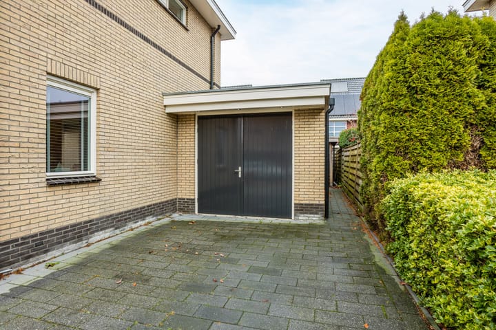 Foto 70 van Meerval 10