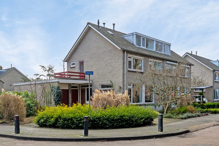 Foto 7 van Slinge 18