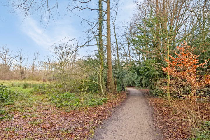 Foto 37 van Slinge 18