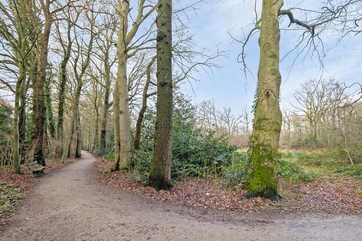 Foto 38 van Slinge 18