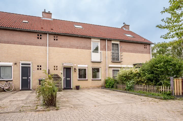 Foto 29 van Schoener 49 4