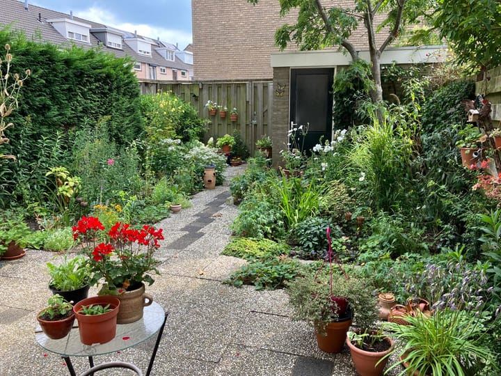 Foto 13 van Zuiderwerf 14