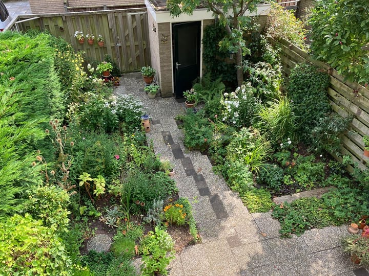 Foto 14 van Zuiderwerf 14