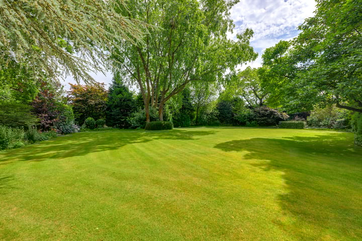 Foto 38 van Schutsestraat 32