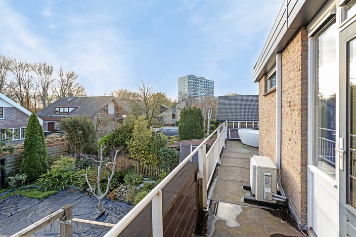 Foto 32 van Meerkoet 24