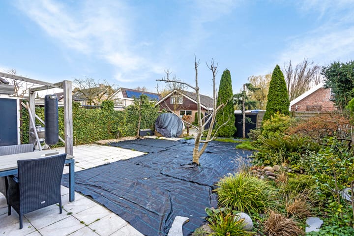 Foto 34 van Meerkoet 24