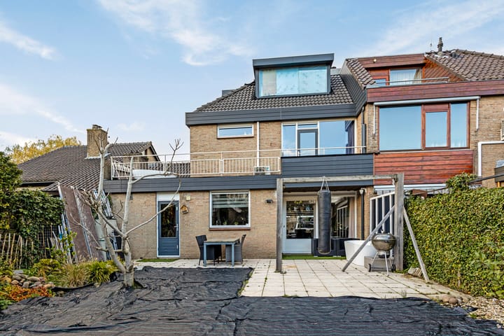 Foto 36 van Meerkoet 24