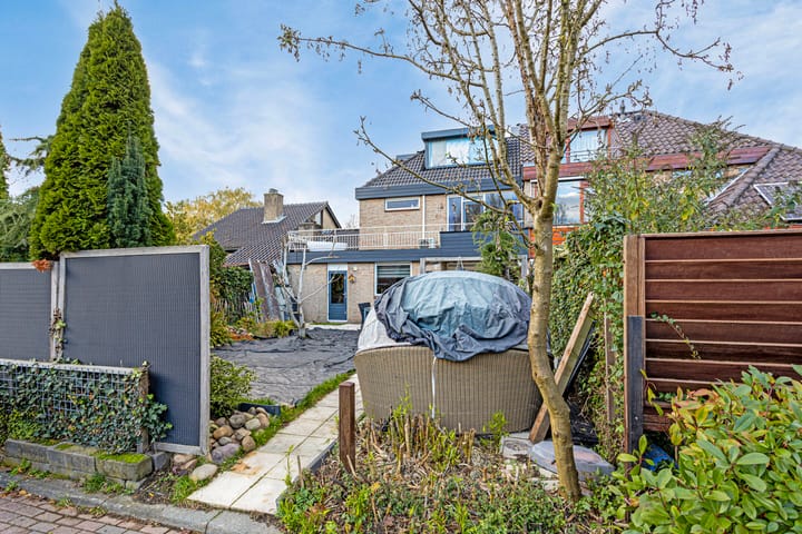 Foto 37 van Meerkoet 24